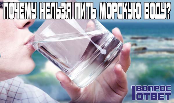 Чому не можна пити морську воду?